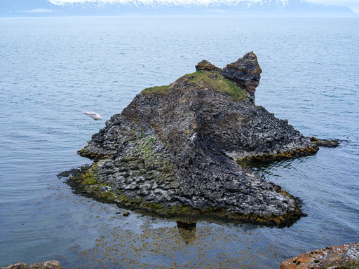DSCF1402-2.jpg