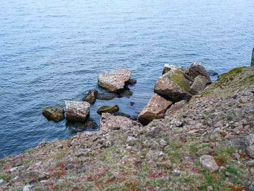 DSCF1403.jpg