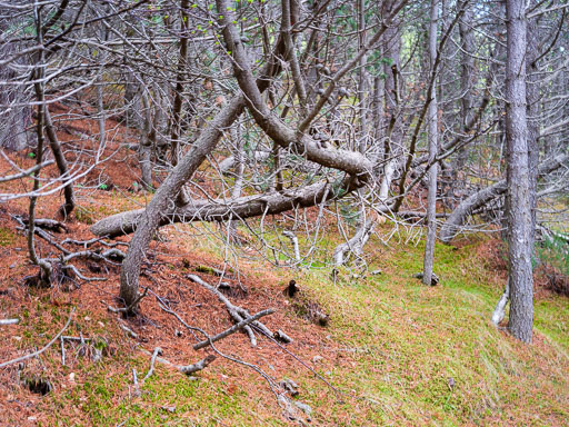 DSCF1408.jpg