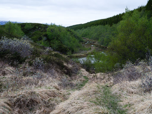 DSCF1412.jpg