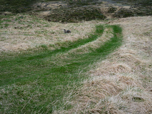 DSCF1413.jpg