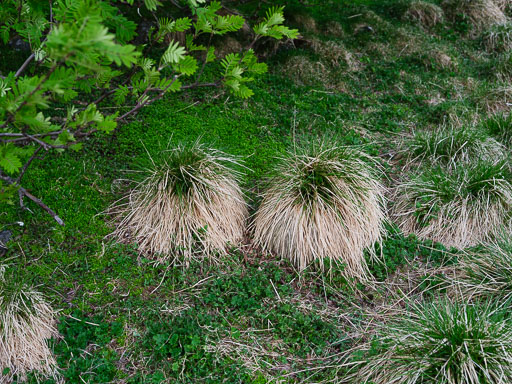 DSCF1416.jpg