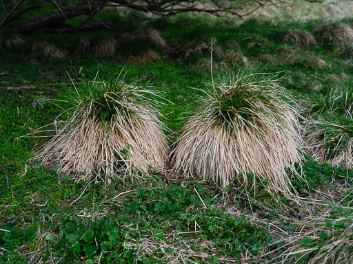 DSCF1417.jpg