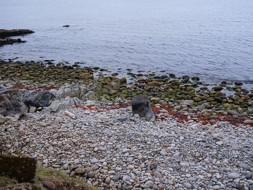 06-04-2026-21-26-55-GFX100S-II-DSCF1549-2.jpg