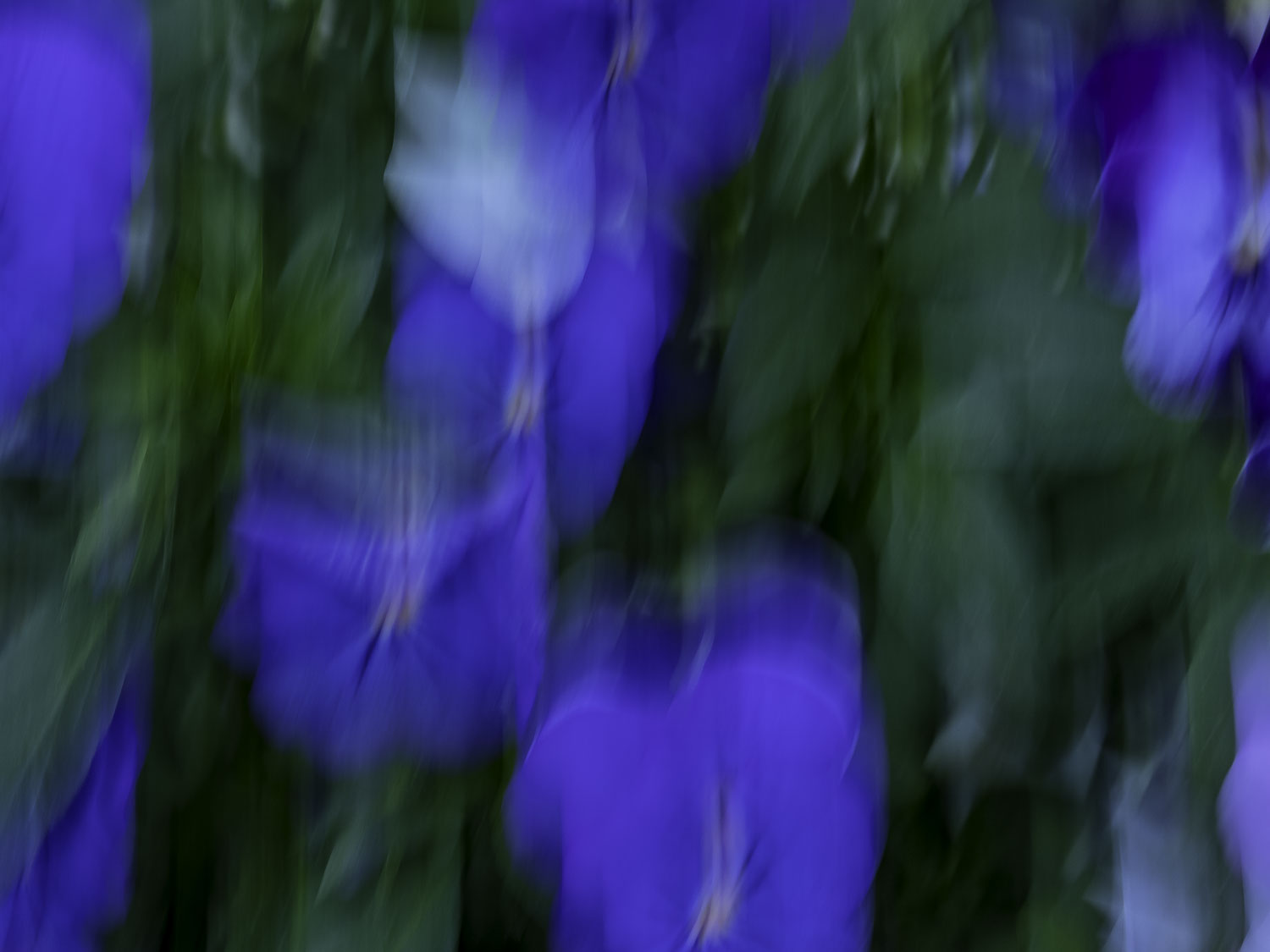IMG "alt" Attribute