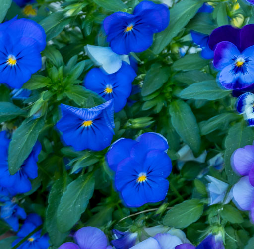 DSCF1893.jpg