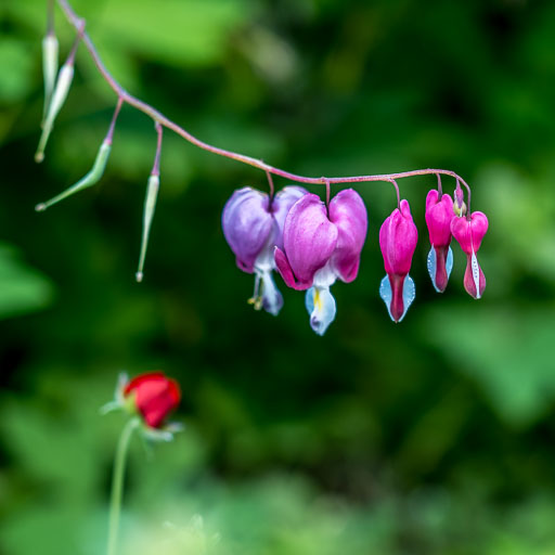 DSCF1915.jpg
