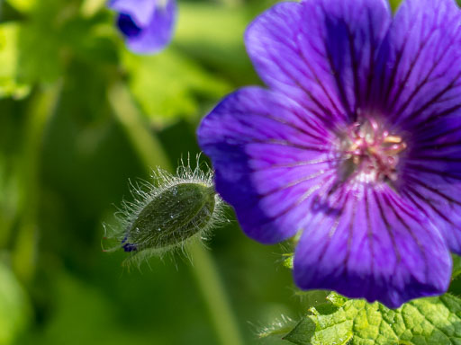 DSCF1921.jpg