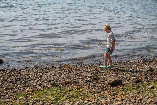 06-27-2026-13-45-Pentax-K-1-K1__6772.jpg