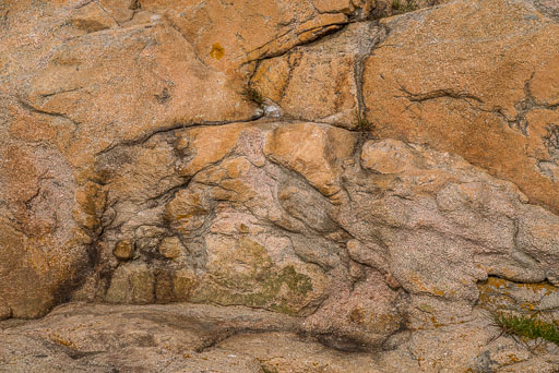 06-27-2026-14-15-Pentax-K-1-K1__6788.jpg