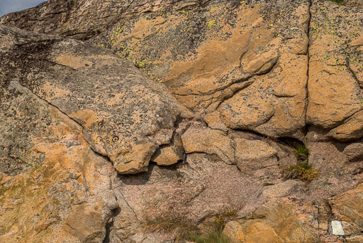 06-27-2026-14-16-Pentax-K-1-K1__6794.jpg