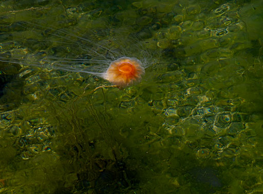 06-28-2026-11-22-Pentax-K-1-K1__6836.jpg