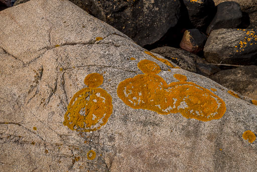 06-29-2026-08-46-Pentax-K-1-K1__6851.jpg