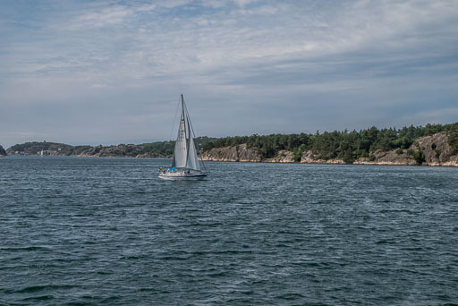 06-29-2026-08-54-Pentax-K-1-K1__6859.jpg