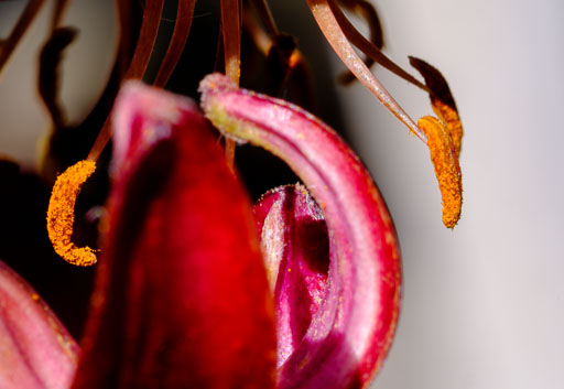 DSCF2353.jpg