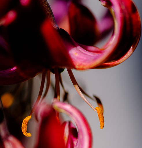 DSCF2355.jpg