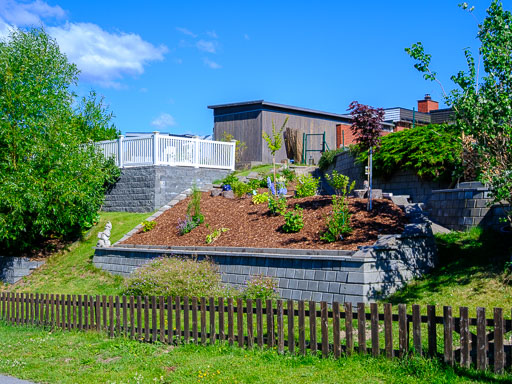 DSCF2366.jpg