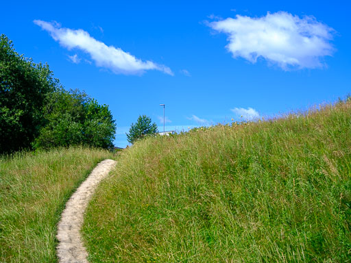 DSCF2370.jpg