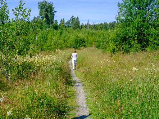 DSCF2378.jpg