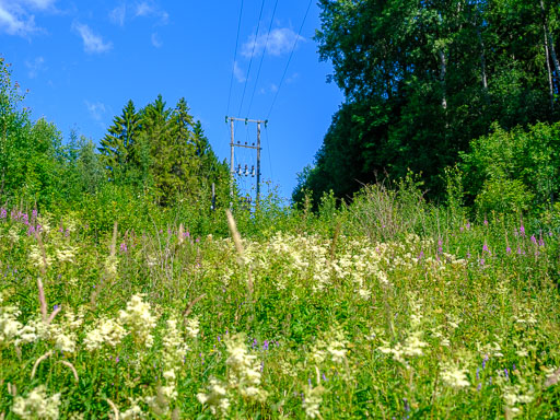 DSCF2390.jpg