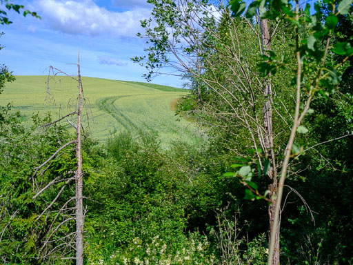 DSCF2393.jpg