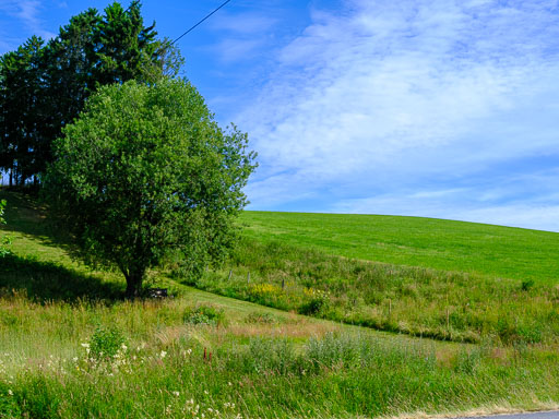 DSCF2400.jpg
