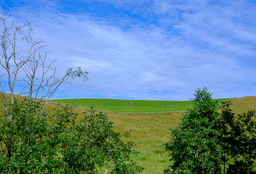 DSCF2401.jpg