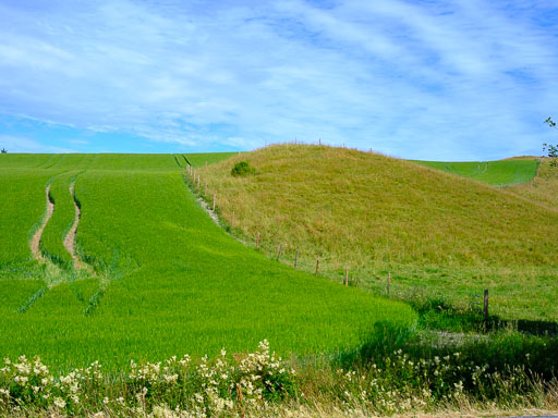 DSCF2403.jpg