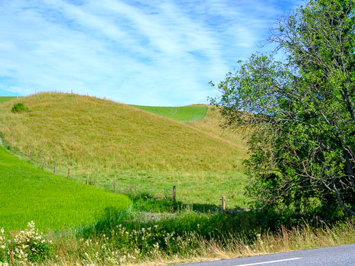 DSCF2404.jpg