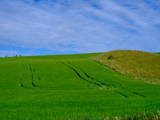 DSCF2405.jpg