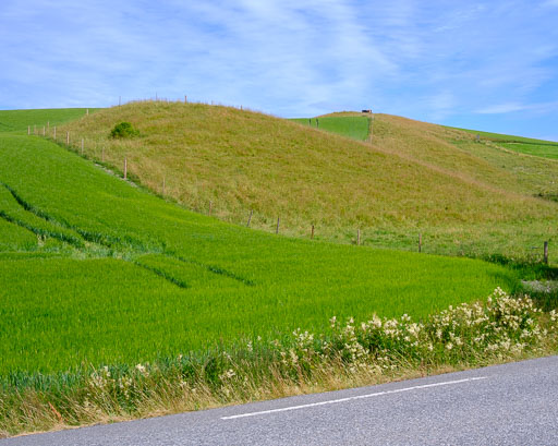 DSCF2407.jpg