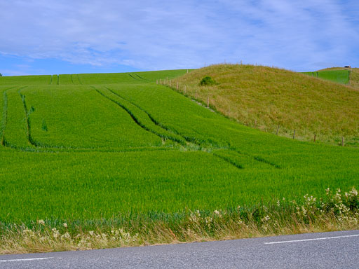 DSCF2408.jpg