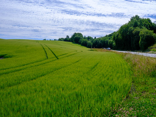 DSCF2412.jpg