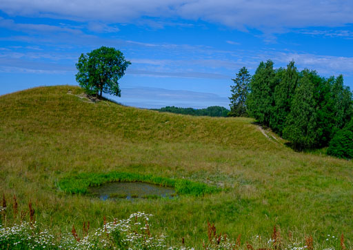 DSCF2413.jpg