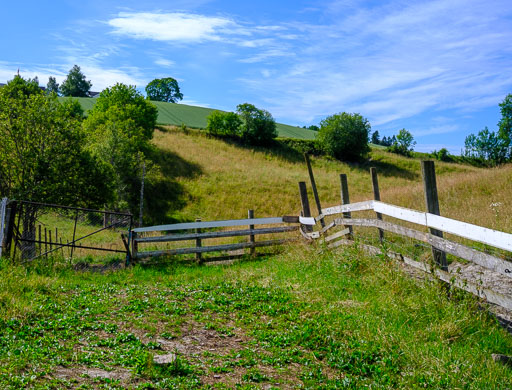 DSCF2417.jpg