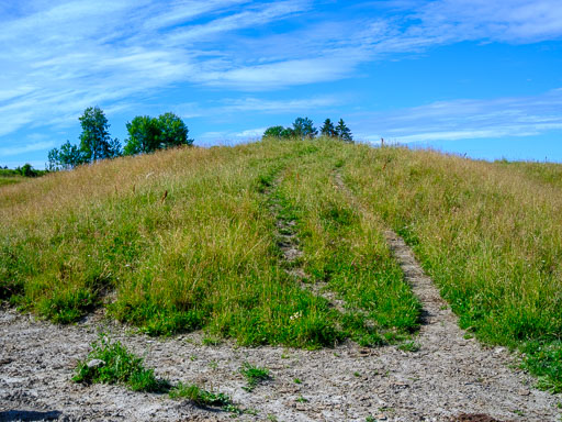 DSCF2418.jpg