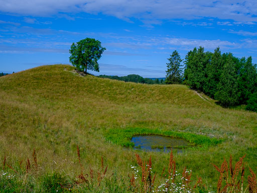 DSCF2419.jpg