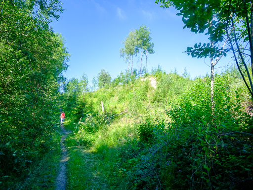 DSCF2456.jpg