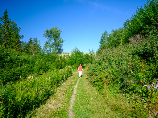 DSCF2460.jpg