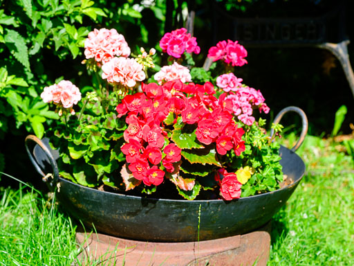 DSCF2517.jpg