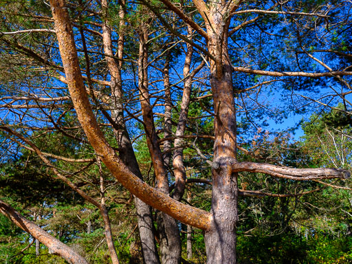 DSCF5094.jpg