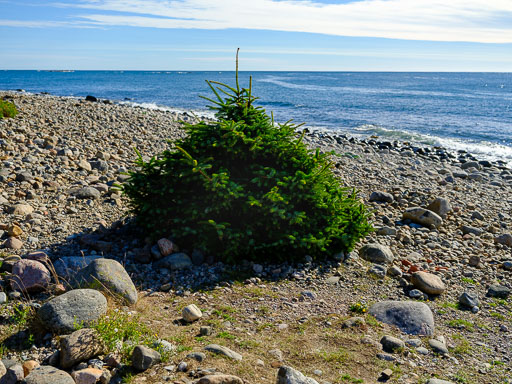 DSCF5102.jpg