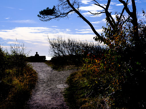 DSCF5116.jpg