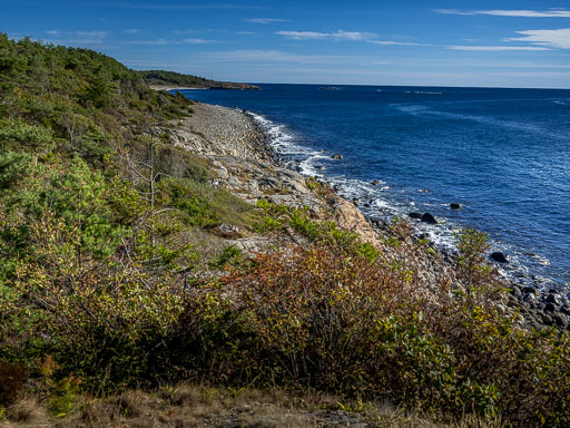 DSCF5117.jpg
