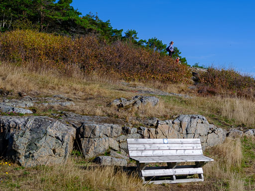 DSCF5120.jpg