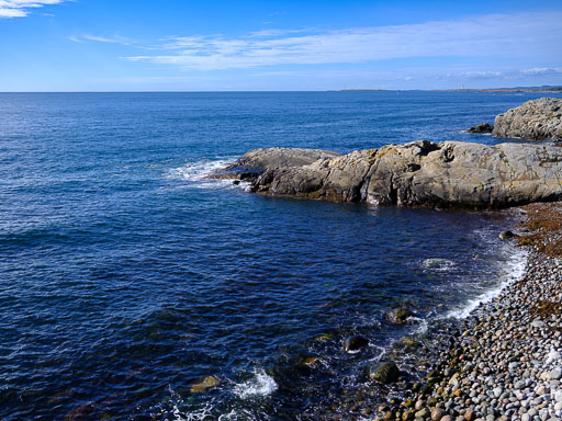 DSCF5121.jpg