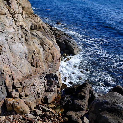 DSCF5123.jpg
