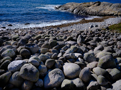 DSCF5125.jpg