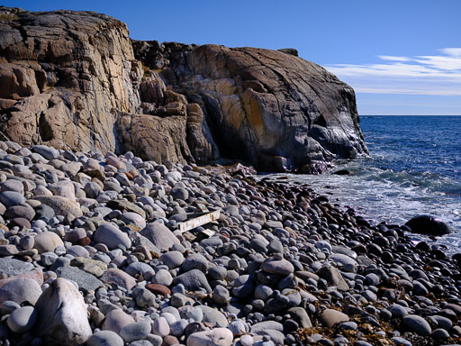 DSCF5130.jpg