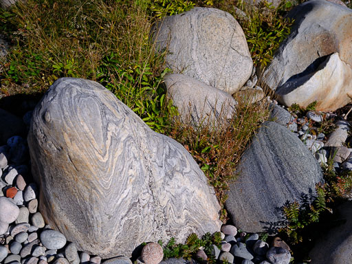 DSCF5132.jpg